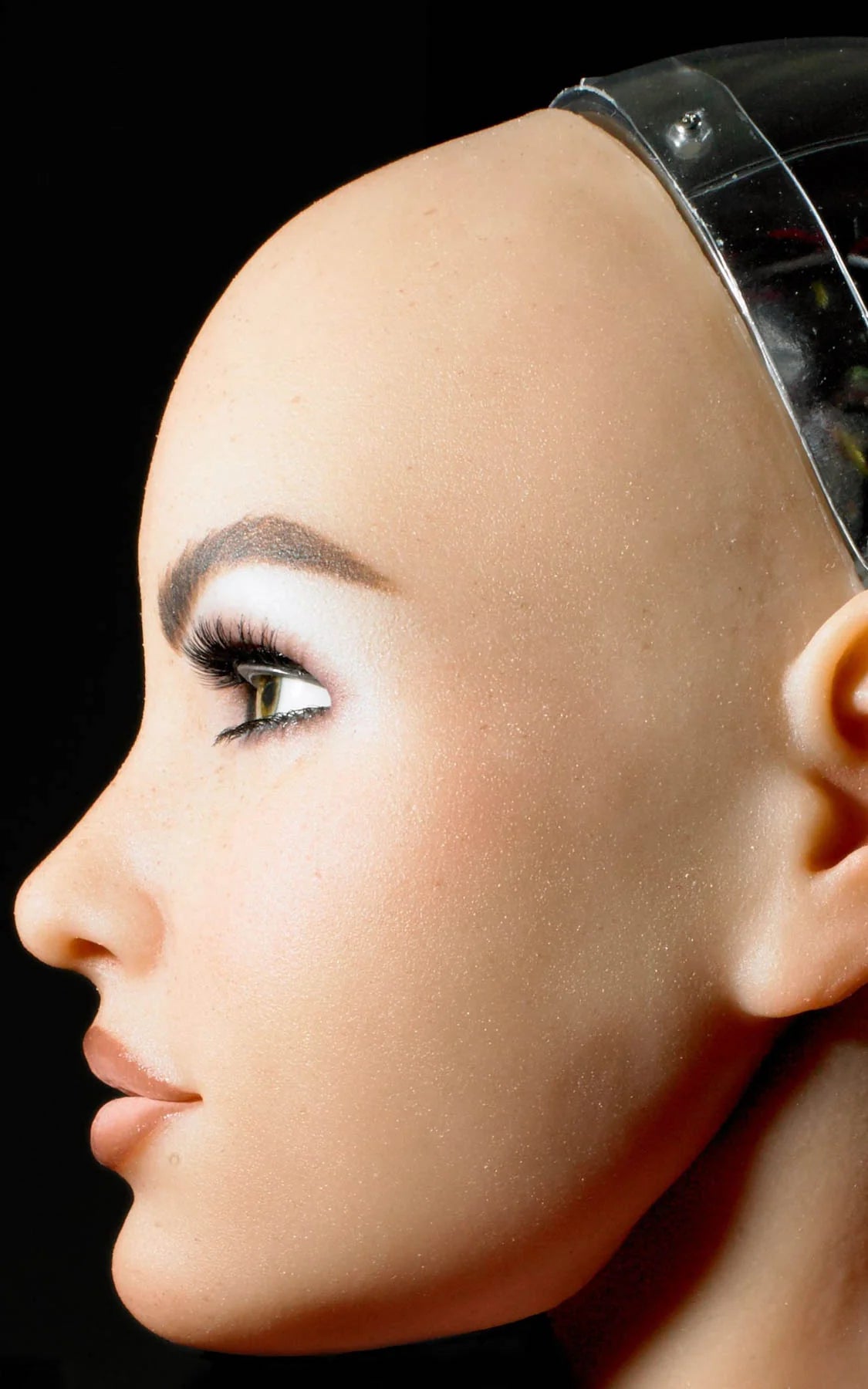Robot Sex Dolls