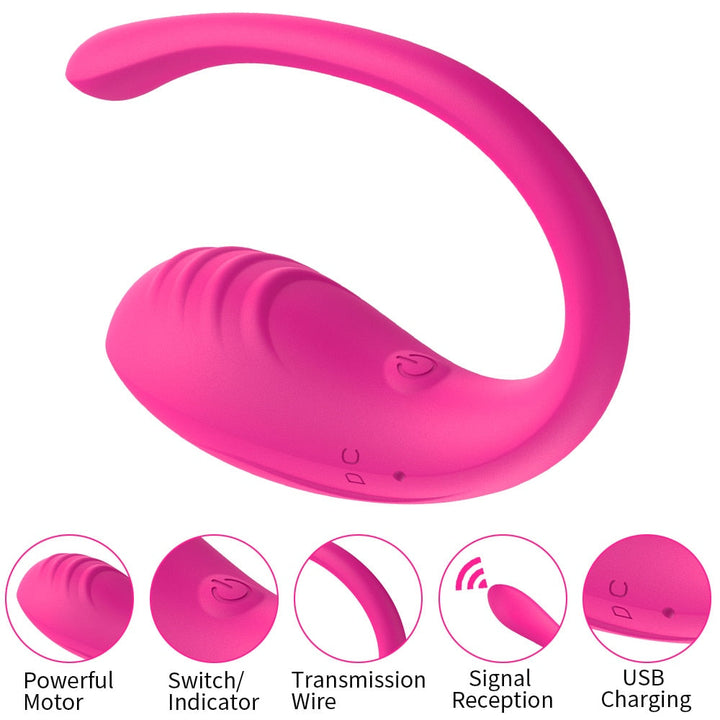 Lush Wireless 2.0 By Desire Lust